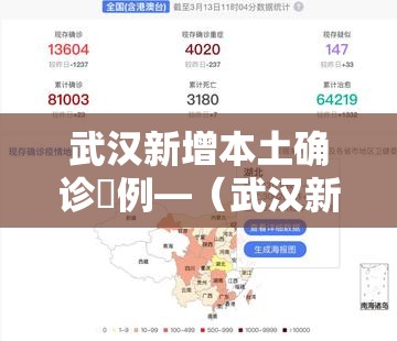 武汉新增本土确诊無例—（武汉新冠病毒）