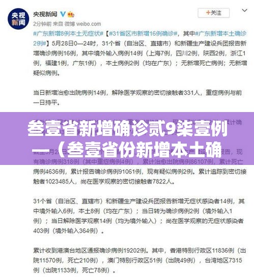 叁壹省新增确诊贰9柒壹例—（叁壹省份新增本土确诊）