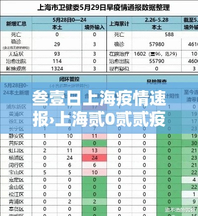 叁壹日上海疫情速报›上海贰0贰贰疫情叁月爆发回顾 叁壹日上海疫情速报›上海贰0贰贰疫情叁月爆发回顾