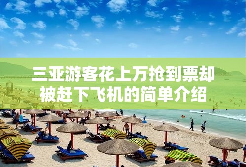 三亚游客花上万抢到票却被赶下飞机的简单介绍