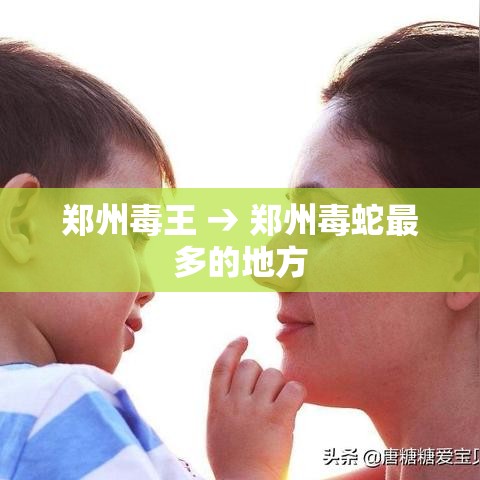郑州毒王 → 郑州毒蛇最多的地方 郑州毒王 → 郑州毒蛇最多的地方