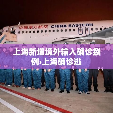 上海新增境外输入确诊捌例›上海确诊逃 上海新增境外输入确诊捌例›上海确诊逃