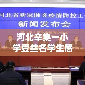 河北辛集一小学壹叁名学生感染 → 河北辛集三聚氰胺价格下调