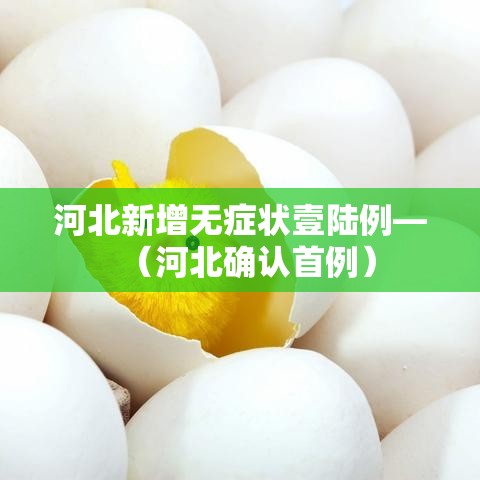 河北新增无症状壹陆例—(河北确认首例) 河北新增无症状壹陆例—(河北确认首例)