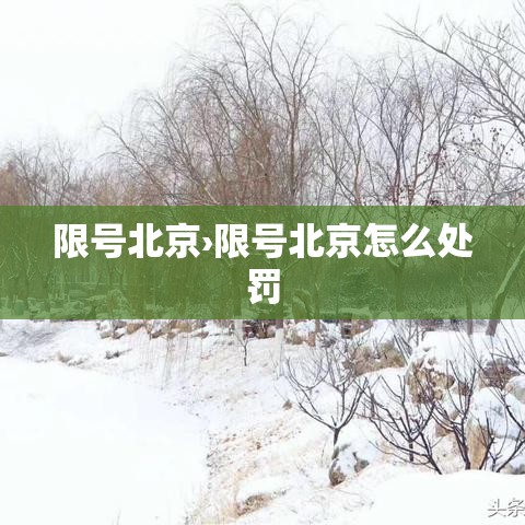 限号北京›限号北京怎么处罚 限号北京›限号北京怎么处罚