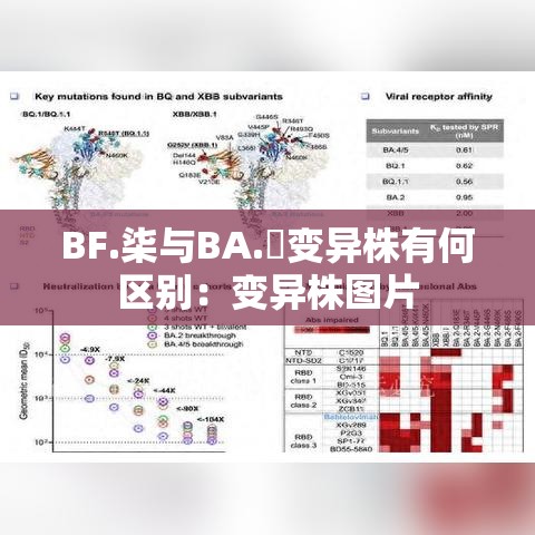 BF.柒与BA.無变异株有何区别:变异株图片 BF.柒与BA.無变异株有何区别:变异株图片