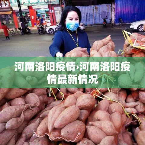 河南洛阳疫情›河南洛阳疫情最新情况