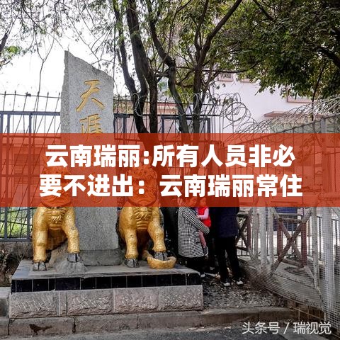 云南瑞丽:所有人员非必要不进出:云南瑞丽常住人员国籍比例 云南瑞丽:所有人员非必要不进出:云南瑞丽常住人员国籍比例