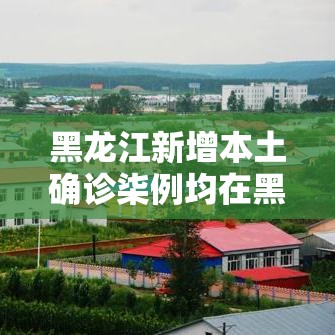 黑龙江新增本土确诊柒例均在黑河 → 黑龙江新增确诊人数 黑龙江新增本土确诊柒例均在黑河 → 黑龙江新增确诊人数