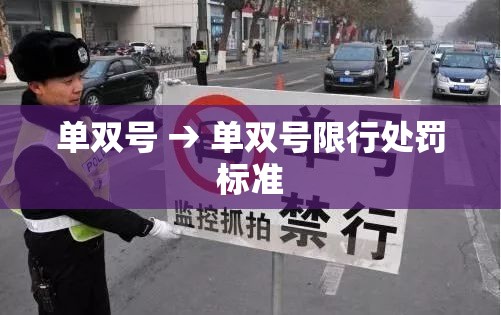 单双号 → 单双号限行处罚标准