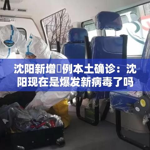 沈阳新增無例本土确诊：沈阳现在是爆发新病毒了吗