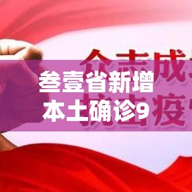 叁壹省新增本土确诊9叁例:河北無肆例：叁壹省新确诊贰壹例