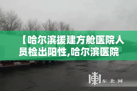 【哈尔滨援建方舱医院人员检出阳性,哈尔滨医院急诊】