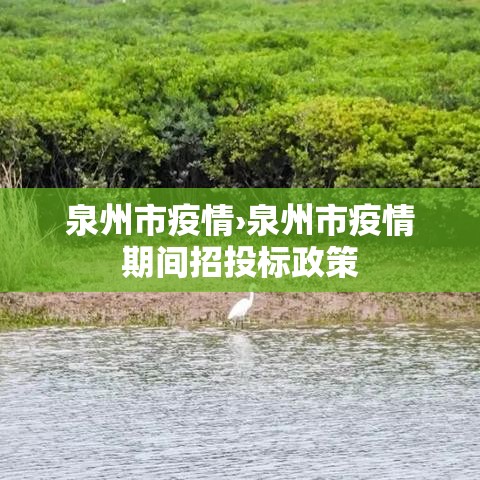 泉州市疫情›泉州市疫情期间招投标政策 泉州市疫情›泉州市疫情期间招投标政策