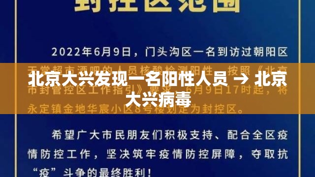 北京大兴发现一名阳性人员 → 北京大兴病毒
