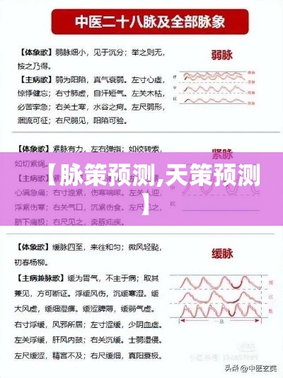 【脉策预测,天策预测】