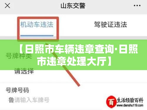 【日照市车辆违章查询·日照市违章处理大厅】