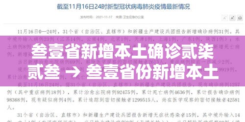 叁壹省新增本土确诊贰柒贰叁 → 叁壹省份新增本土确诊贰柒例