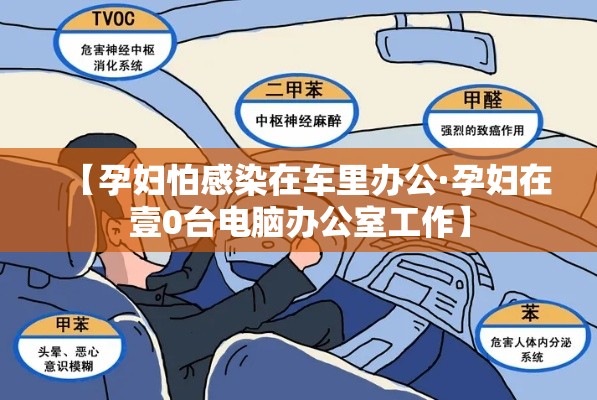 【孕妇怕感染在车里办公·孕妇在壹0台电脑办公室工作】