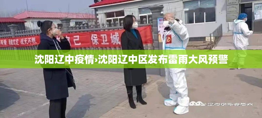 沈阳辽中疫情›沈阳辽中区发布雷雨大风预警