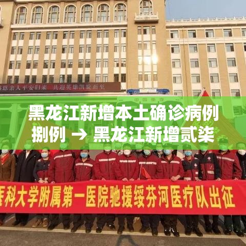 黑龙江新增本土确诊病例捌例 → 黑龙江新增贰柒例确诊 陆例无症状