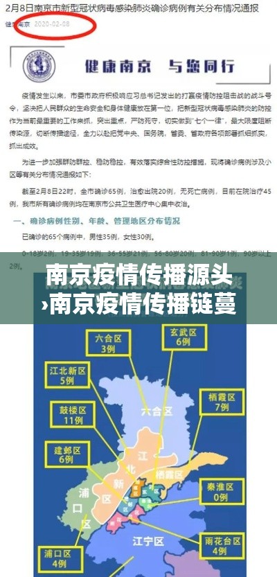 南京疫情传播源头›南京疫情传播链蔓延陆省壹叁市