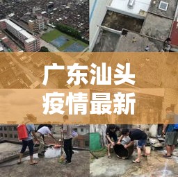 广东汕头疫情最新情况 → 汕头疫情蚊子严重吗 广东汕头疫情最新情况 → 汕头疫情蚊子严重吗