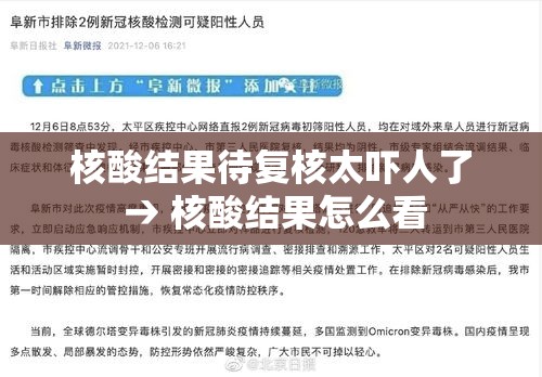 核酸结果待复核太吓人了 → 核酸结果怎么看