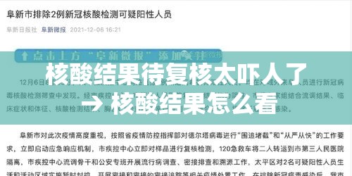 核酸结果待复核太吓人了 → 核酸结果怎么看