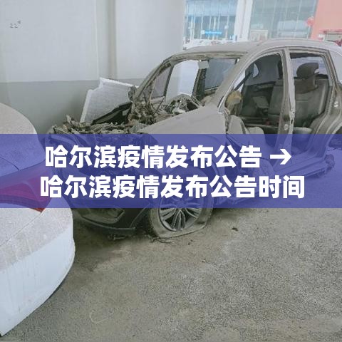 哈尔滨疫情发布公告 → 哈尔滨疫情发布公告时间 哈尔滨疫情发布公告 → 哈尔滨疫情发布公告时间