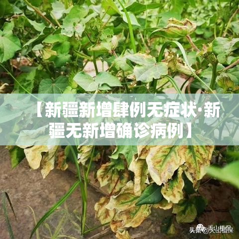 【新疆新增肆例无症状·新疆无新增确诊病例】 【新疆新增肆例无症状·新疆无新增确诊病例】