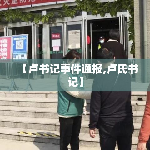 【卢书记事件通报,卢氏书记】