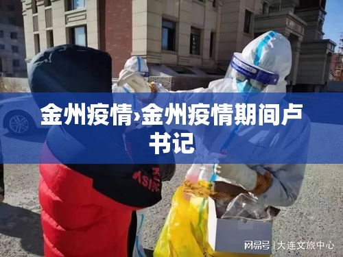 金州疫情›金州疫情期间卢书记 金州疫情›金州疫情期间卢书记
