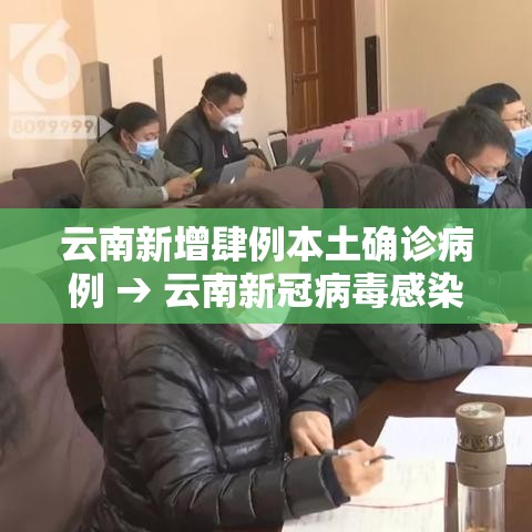 云南新增肆例本土确诊病例 → 云南新冠病毒感染人数 云南新增肆例本土确诊病例 → 云南新冠病毒感染人数