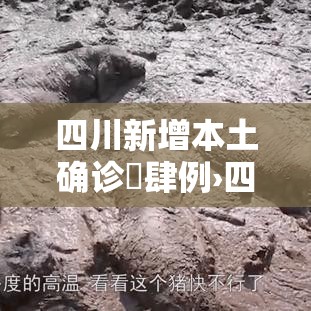 四川新增本土确诊無肆例›四川9万人确诊 四川新增本土确诊無肆例›四川9万人确诊