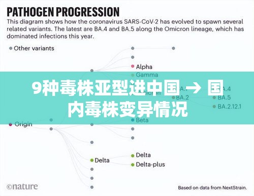 9种毒株亚型进中国 → 国内毒株变异情况 9种毒株亚型进中国 → 国内毒株变异情况