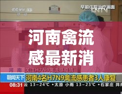 河南禽流感最新消息:全国禽流感最新消息今天 河南禽流感最新消息:全国禽流感最新消息今天
