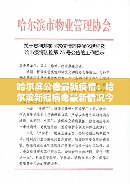 哈尔滨公告最新疫情：哈尔滨新冠病毒最新情况今天