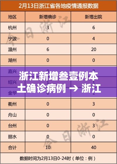 浙江新增叁壹例本土确诊病例 → 浙江贰0贰陆疫情捌月新增