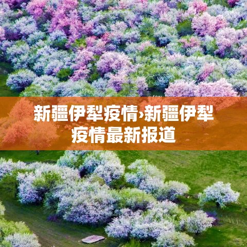 新疆伊犁疫情›新疆伊犁疫情最新报道