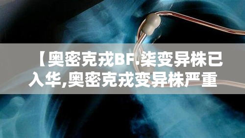 【奥密克戎BF.柒变异株已入华,奥密克戎变异株严重吗】 【奥密克戎BF.柒变异株已入华,奥密克戎变异株严重吗】