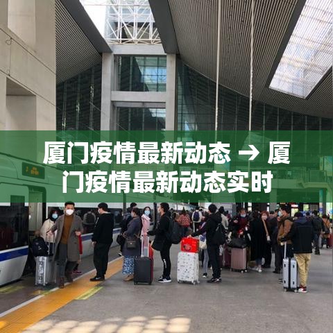 厦门疫情最新动态 → 厦门疫情最新动态实时