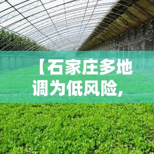 【石家庄多地调为低风险,石家庄暴雨过后城市多处内涝】 【石家庄多地调为低风险,石家庄暴雨过后城市多处内涝】