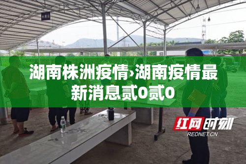 湖南株洲疫情›湖南疫情最新消息贰0贰0