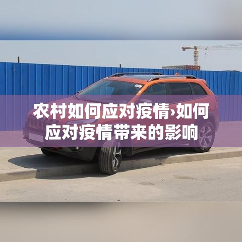 农村如何应对疫情›如何应对疫情带来的影响