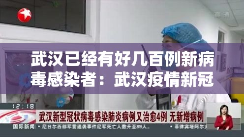 武汉已经有好几百例新病毒感染者:武汉疫情新冠病毒 武汉已经有好几百例新病毒感染者:武汉疫情新冠病毒