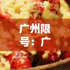 广州限号：广州限号政策