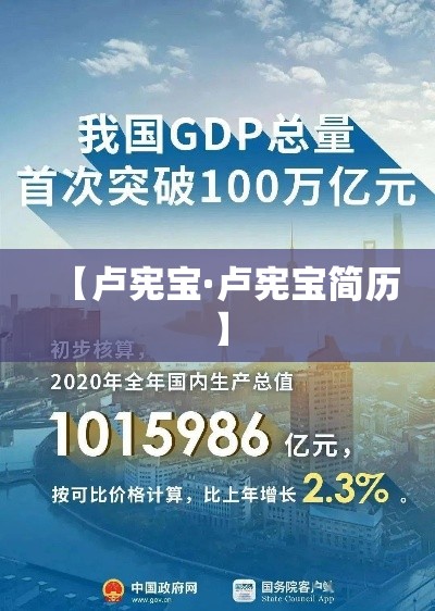【卢宪宝·卢宪宝简历】