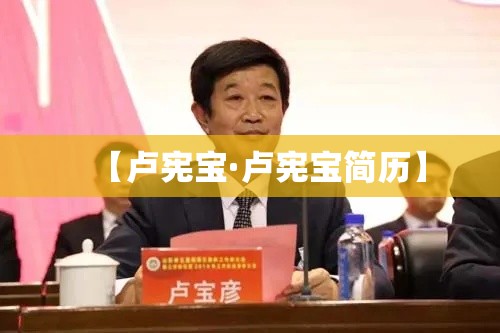 【卢宪宝·卢宪宝简历】
