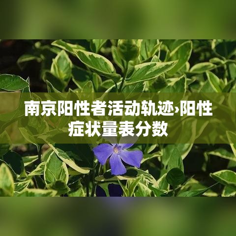 南京阳性者活动轨迹›阳性症状量表分数